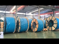 কন্ট্রোল ক্যাবল