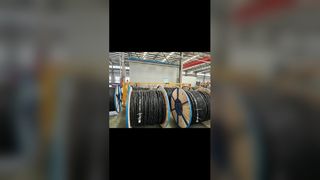 পাঁজর এবং লেজার প্রিন্টিং চিত্রের মাধ্যমে বায়বীয় বান্ডিলযুক্ত তারের মূল সনাক্তকরণ