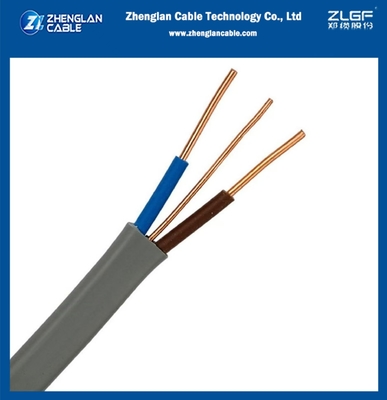 জমি 2x1.5mm2 + 1mm2, 2x2.5mm2 + 1.5mm2 CU / পিভিসি / পিভিসি 300/500V সঙ্গে যমজ তারের 2 কোর