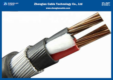 0.6/1KV দুই কোর নিরস্ত্র XLPE ইনসুলেটেড পাওয়ার ক্যাবল（CU/XLPE/LSZH/DSTA）নামিক বিভাগ：2*1.5~2*400mm²